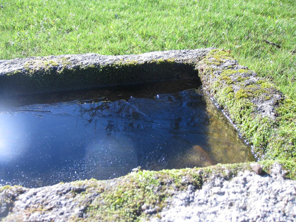 Candeias Do Souto Bragança Buitenkant foto